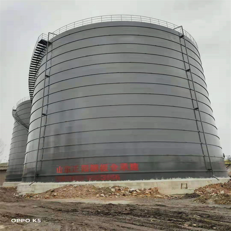 海安3万吨大型钢板库